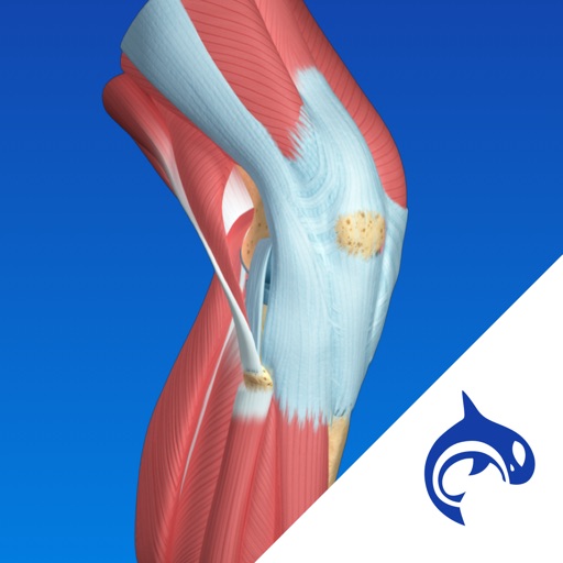 Knee Decide - Education & Engagement icon