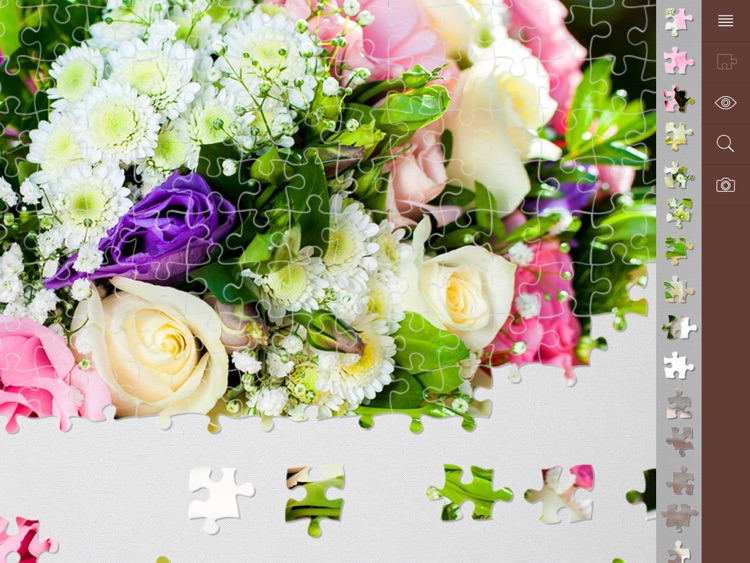 Jigsaw Puzzle Plus screenshot-3