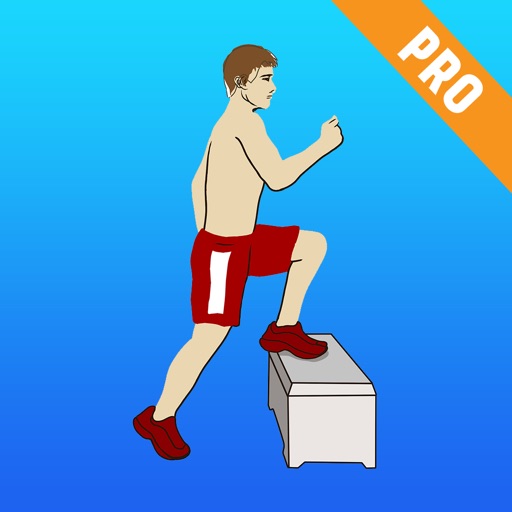 VO2Max Home Fitness Endurance Step Test Assessment icon