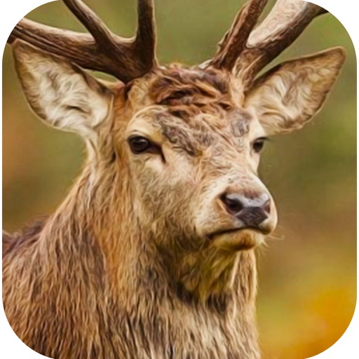 ULTIMATE White Tail Deer Hunter African Safari iOS App