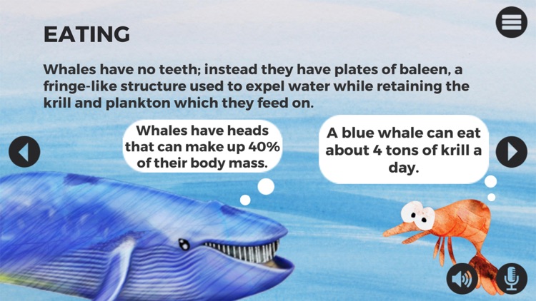 Knowee : Whales and Dolphins