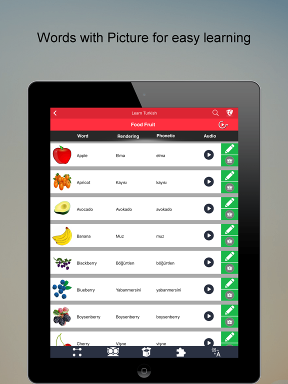 Screenshot #5 pour Learn Turkish SMART Guide