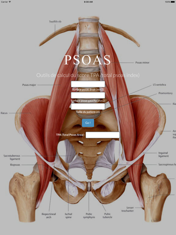 Screenshot #4 pour PSOAS