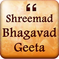 Bhagavad Gita Saar Hindi