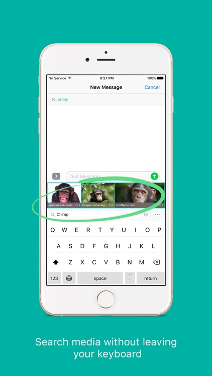 ChimpKey -  Internet Search Keyboard