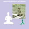 Meditation practices in buddhism
