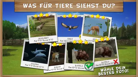 Pony Trails