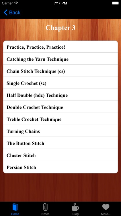 Crocheting For Fun & Profits Learn How to Crochet screenshot-4