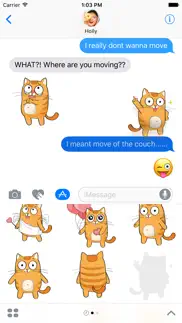 kitty cat – cute stickers for imessage problems & solutions and troubleshooting guide - 2