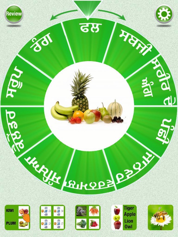 Flashcards Punjabi Lesson