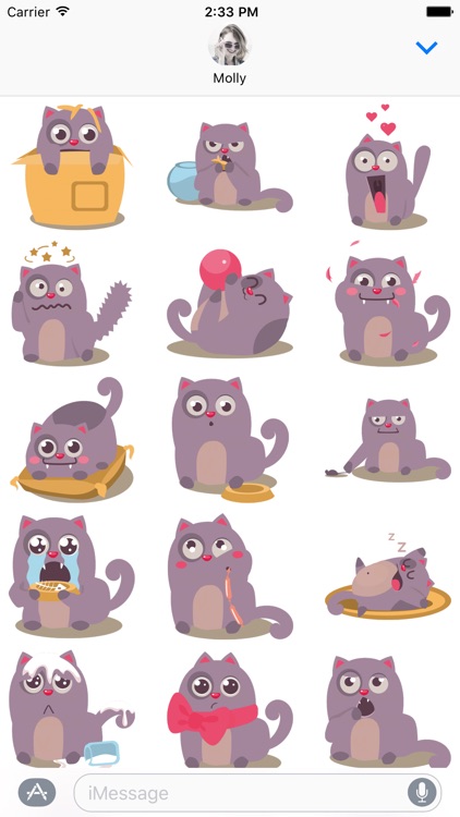Cat Perfect Pet