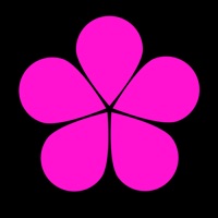 Benji - Japanese Learning & Dictionary app icon - Education app for iPhone