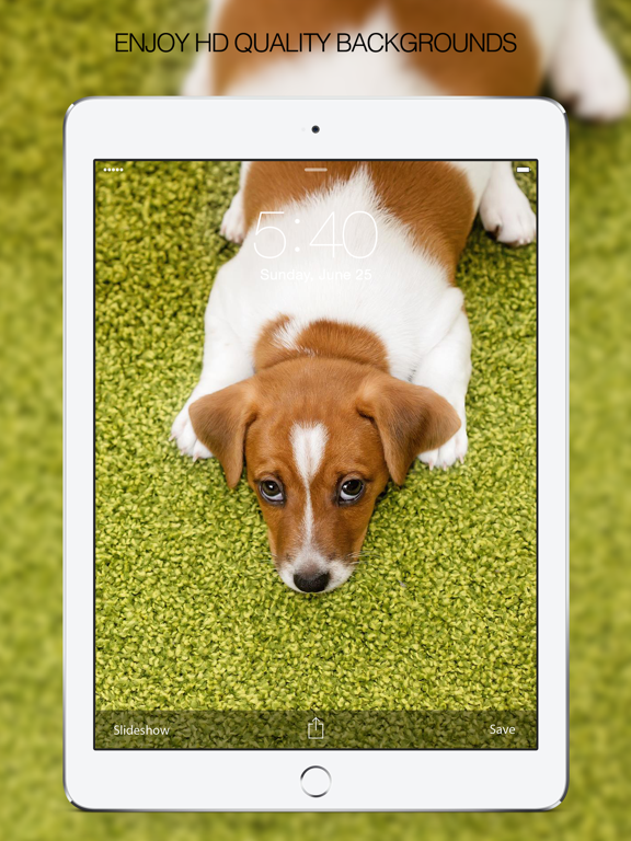 Screenshot #2 for Puppy Wallpapers – Cute Puppy Pictures & Images