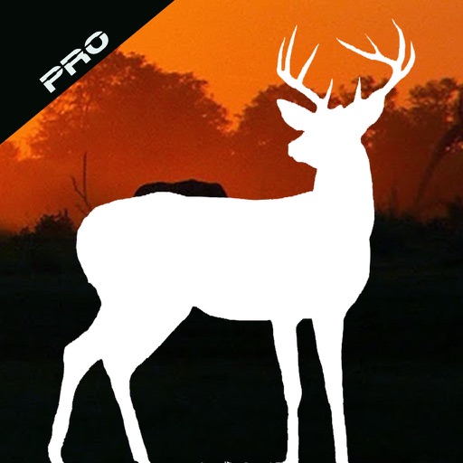 African Hunter: Hunt Deer in Safari PRO Icon