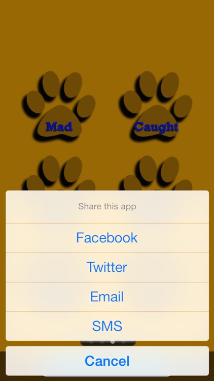 Kids Cat Jokes! screenshot-4
