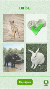 Flashcards Tamil Lesson screenshot #4 for iPhone