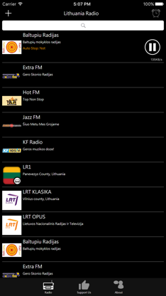 Lithuanian Radio - LT Radio screenshot 2