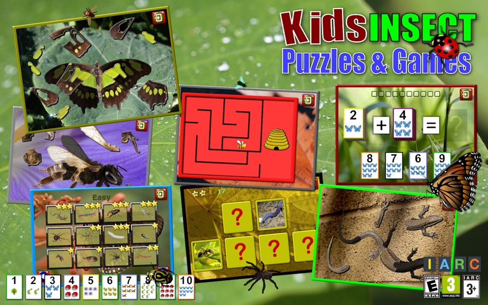 Kids Insect Jigsaw Puzzle and Memory Game for Mac OS X - 1.1.1 - (macOS)