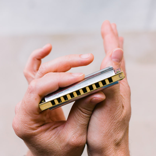 Harmonica Master Class