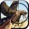 Eagle Hunter Sniper Shooter