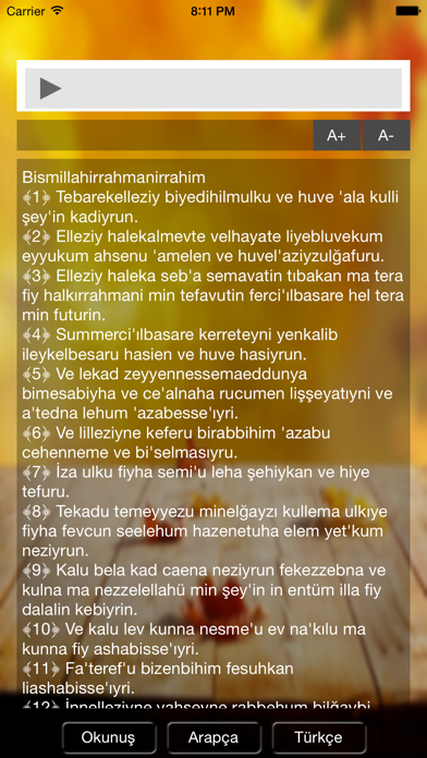 Screenshot #3 pour Tebareke Suresi