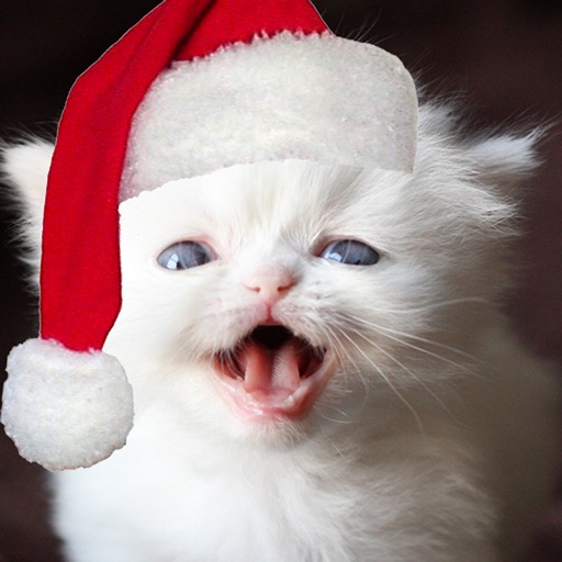 A Christmas Talking Kitten HD icon