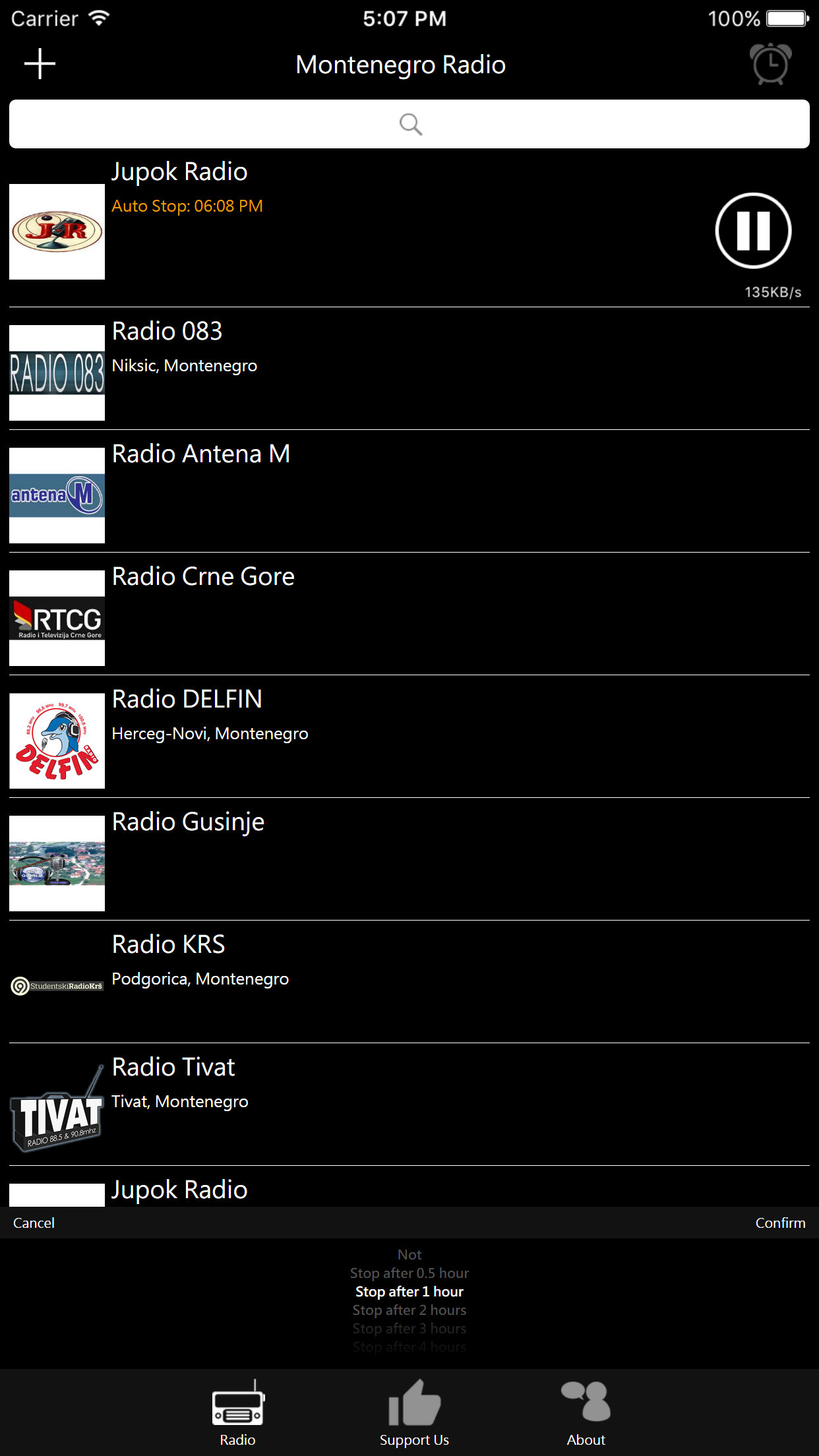 Montenegrin Radio screenshot 3