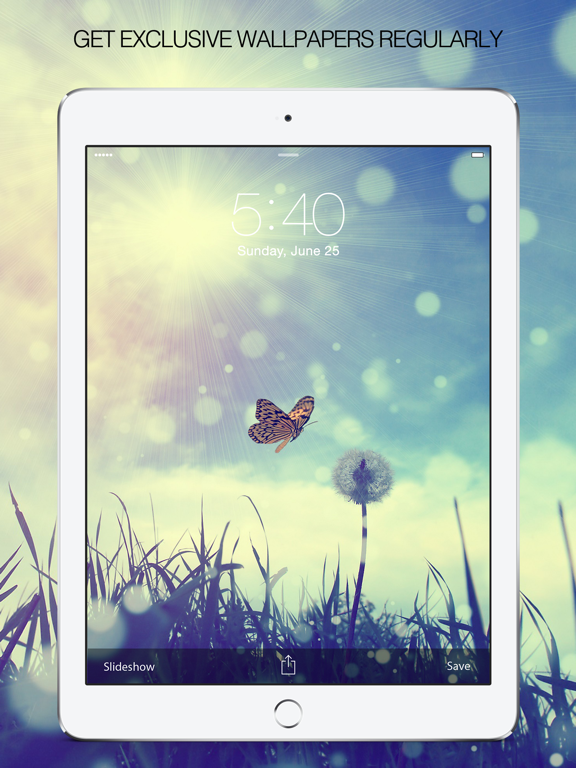 Screenshot #6 pour Butterfly Pictures & Butterfly Wallpapers Free