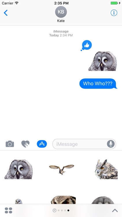 Cute Owl Stickers screenshot-3