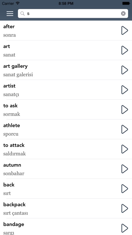Learn Turkish Essentials - AccelaStudy® screenshot-3