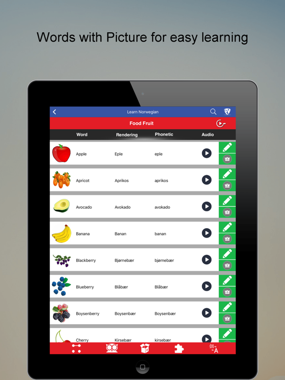 Screenshot #5 pour Learn Norwegian Guide
