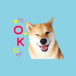 Pretty Dog Stickers Smile