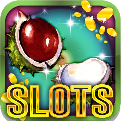 Falling Leaves Slots:Play games in autumn paradise Icon