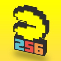 Pac-Man 256