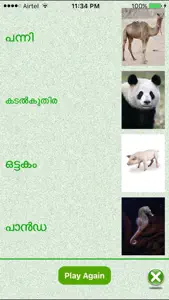 FlashCards Malayalam Lesson screenshot #4 for iPhone