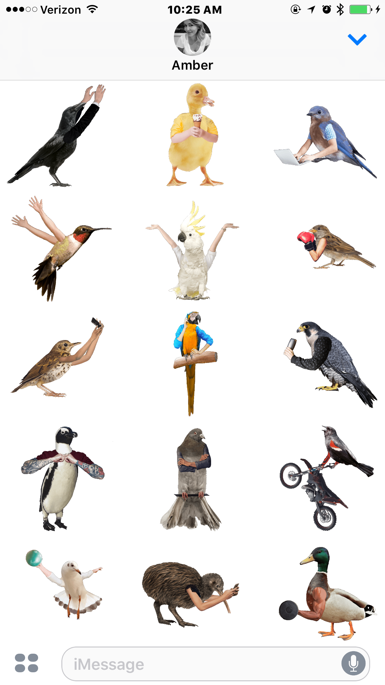 Birds with Human Arms