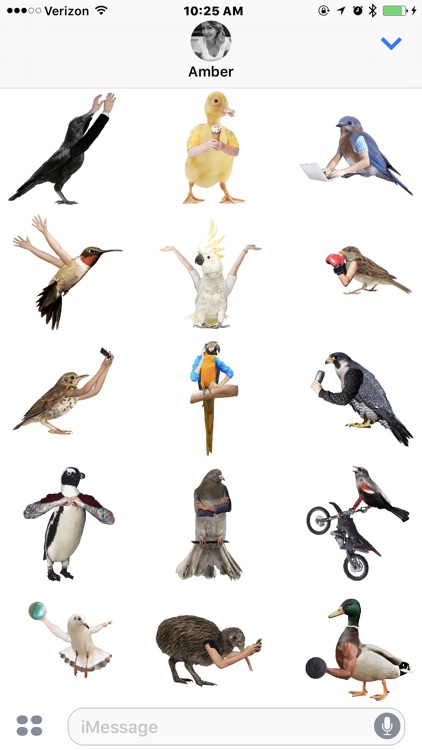 Birds with Human Arms