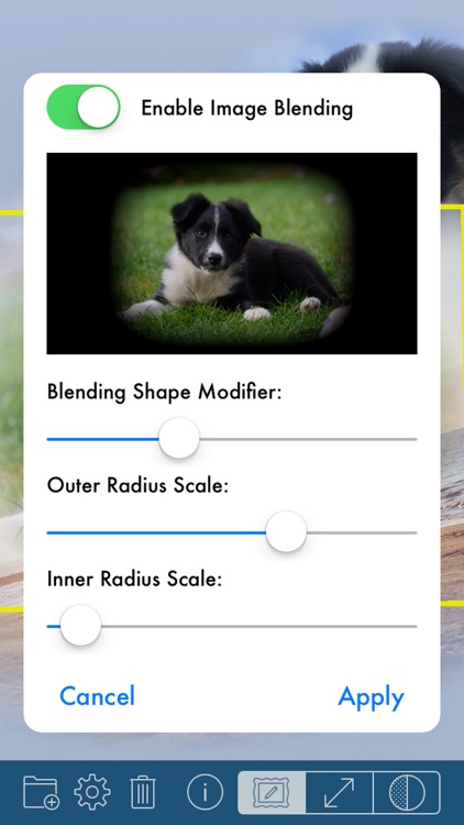 PhotoTangler - Best Collage Maker to Blend Photos