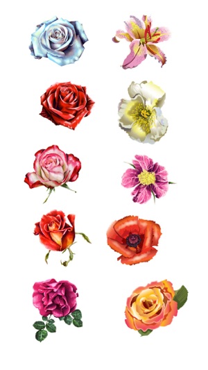 Roses and Flowers - Flower Art - Love, Friendship(圖4)-速報App