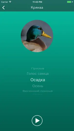 Скриншот Охотничий манок на утку на iPhone 3