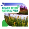 Grand Teton National Park Travel Guide