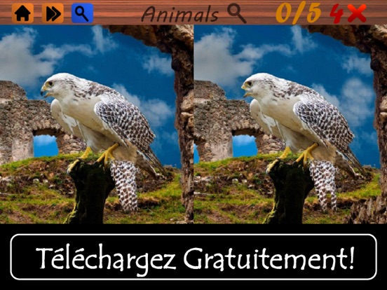 Screenshot #5 pour Trouvez les différences Animaux