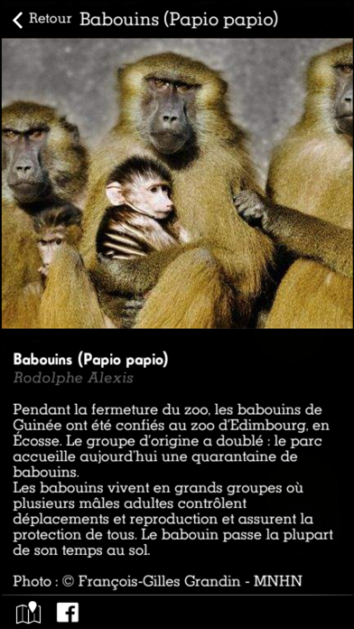 Screenshot #3 pour ZooPhonic