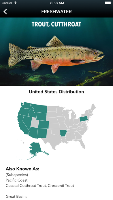 Fishopedia iPhone screenshot 3 - Sports app