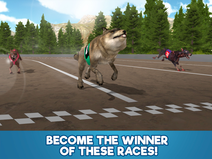 Dog Racing Tournament Sim 3D