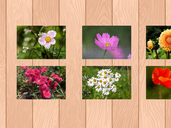 Screenshot #5 pour Flower Jigsaw Puzzle HD Jeux Gratuit