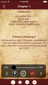 Bhagavad Gita Saar Hindi screenshot