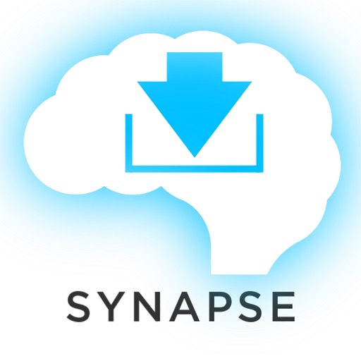 Addition Synapse Icon