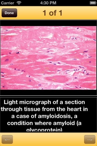 Encyclopedia of Senior Health screenshot 3