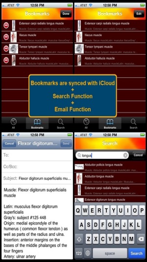 Human Muscle Encyclopedia Plus+(圖3)-速報App
